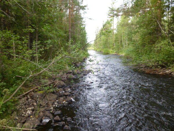 P1000337