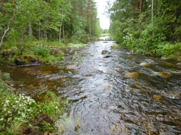 P1000364