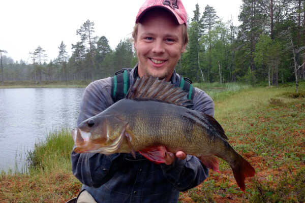 abborre_mattias